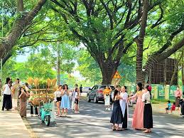 4.7. DO THI THONG MINH